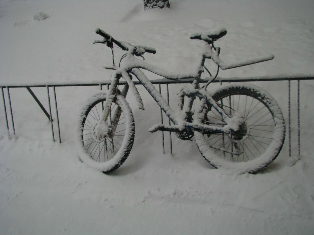 Анна Медведева Дмитриевна | Алматы