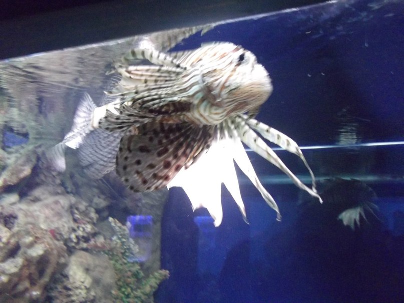 Анна Завьялова | Москва