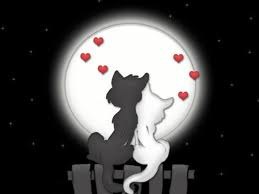 Алина Белова | Тольятти