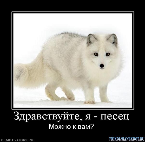 Наталья Левандович | Санкт-Петербург