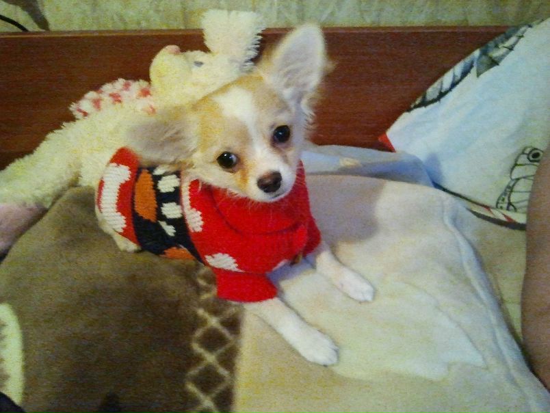 №91, Любовь Полякова, Санкт-Петербург №91, Любовь Полякова, Санкт-Петербург