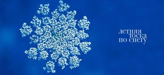 Анна Белова | Саратов