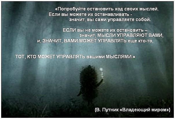 Антон Горыня | Санкт-Петербург