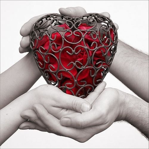 Андрей Соломатин | Кривой Рог