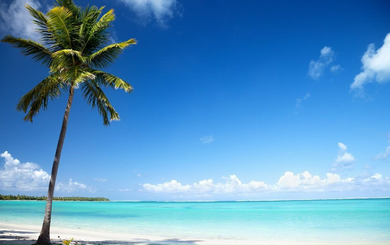 Танюша Крылова | Санкт-Петербург