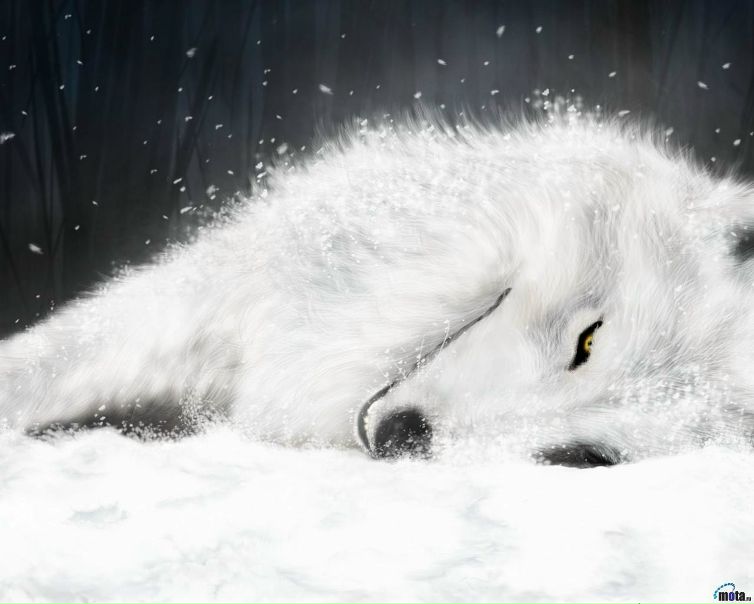 №3, Анисия Князева №3, Анисия Князева