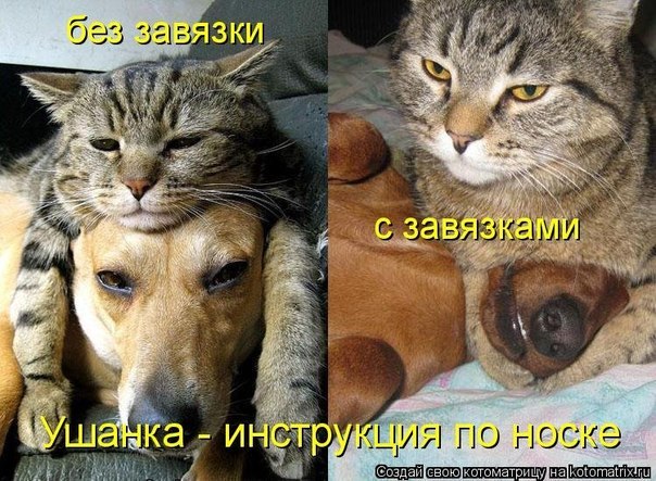 Анастасия Скороходова | Москва