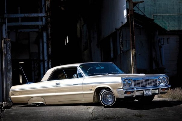 Тарасик Карасик | Los Angeles