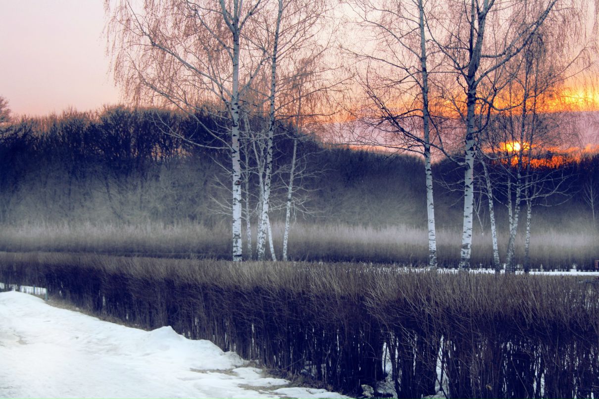 Валерий Давакин | 