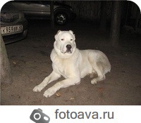 №32, Анна Рождественская, Липецк, Россия №32, Анна Рождественская, Липецк, Россия