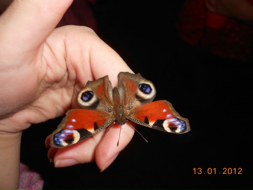 Оксана Білик | Бучач