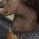 №16, Вітя Глушук, Луцк №16, Вітя Глушук, Луцк