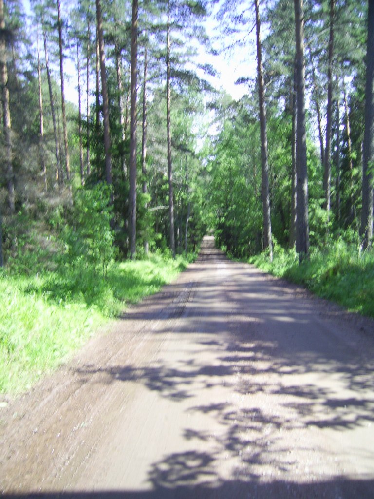 Анна Мошкова | Москва