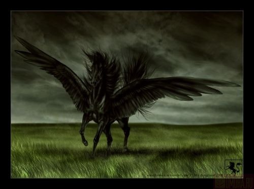 Алексей Дикан | Кривой Рог