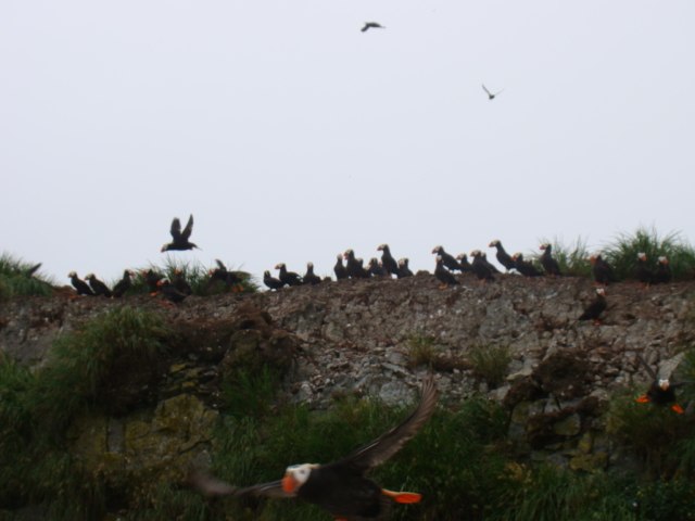 Анна Батаева | Санкт-Петербург