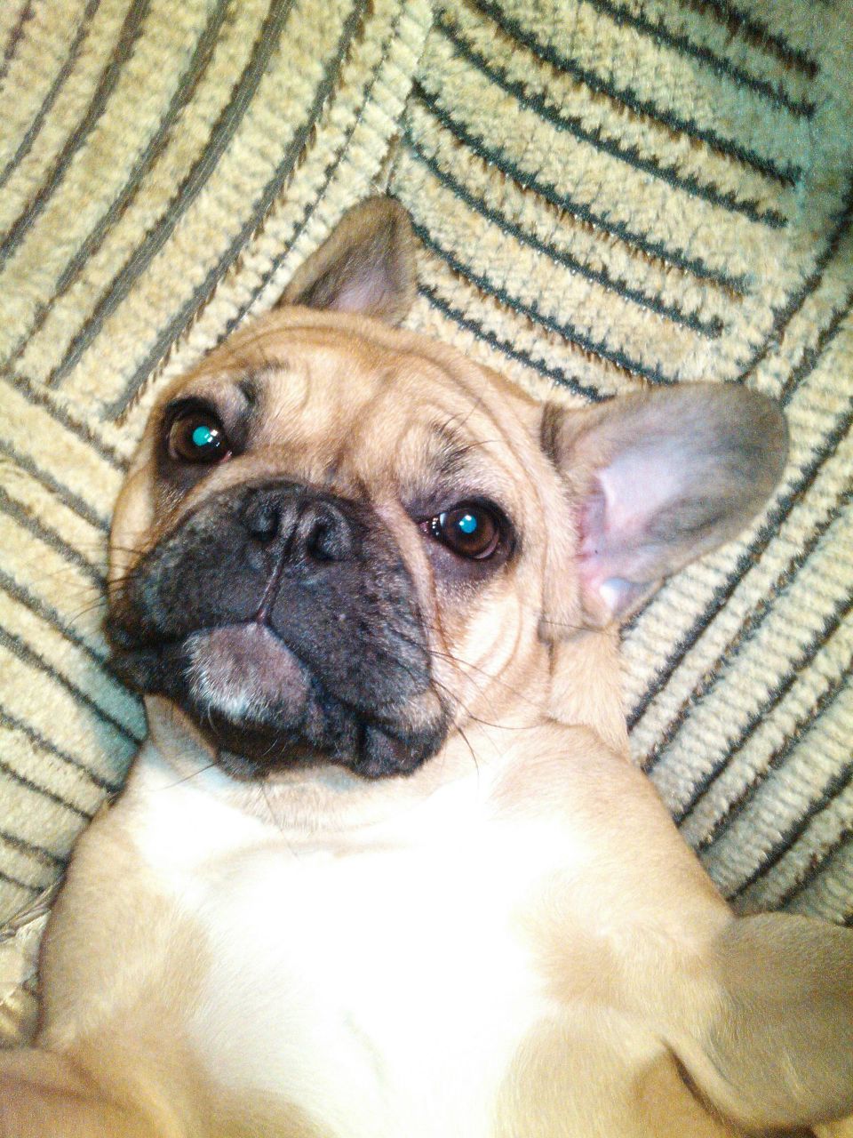 Саша Сарин | 