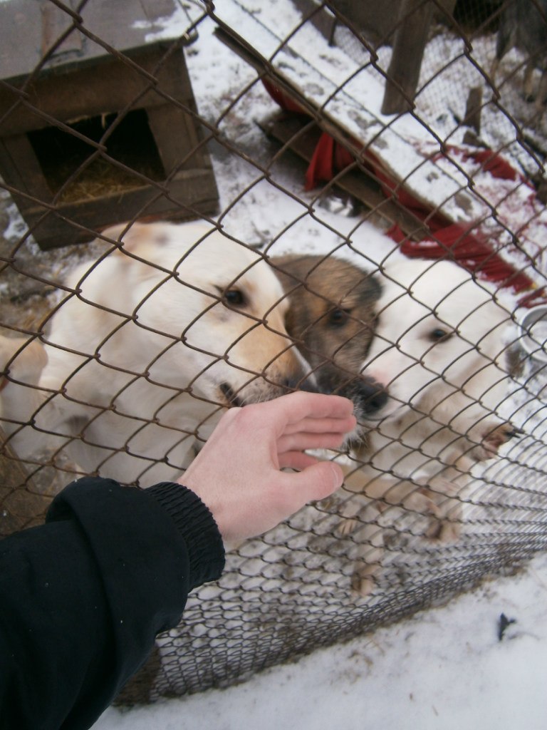 Олександр Брижко | Киев