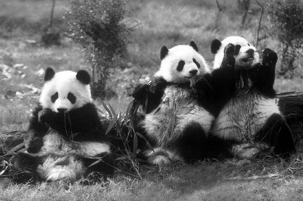 Стас Кузичев | Киев