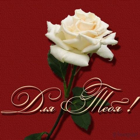 Марина Егель | Самара