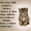 Аватар: Виктория Ska