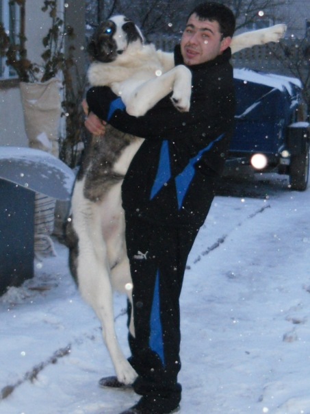 №4, Валентин Гаврись, 39 лет, Кременчуг №4, Валентин Гаврись, 39 лет, Кременчуг