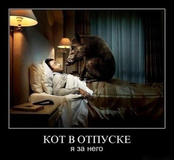 Сергей Чистов 