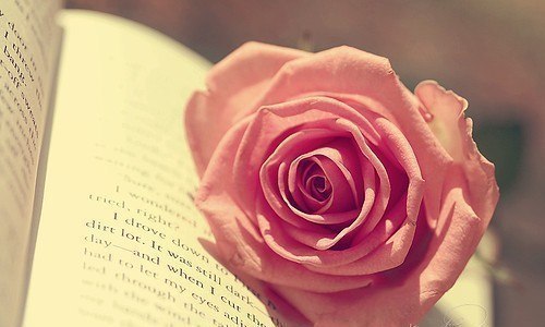 Натали Николавна | Очер