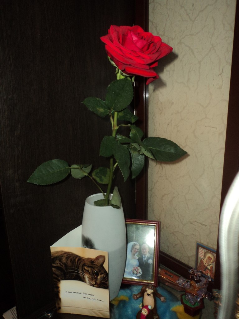 Оксана Батанова | Кемерово