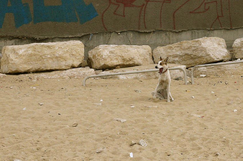 Юля Ратман | Москва