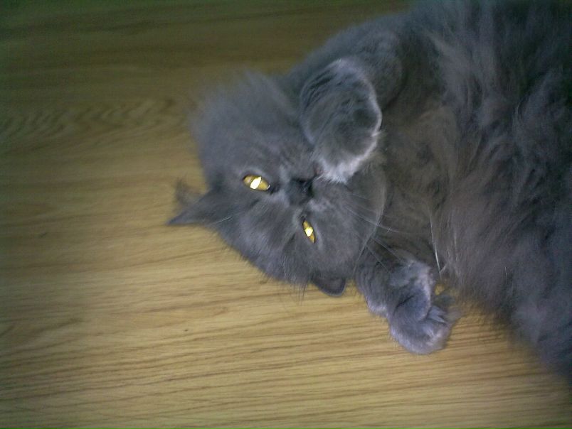 №3, Юлия Ярцева, Одесса №3, Юлия Ярцева, Одесса