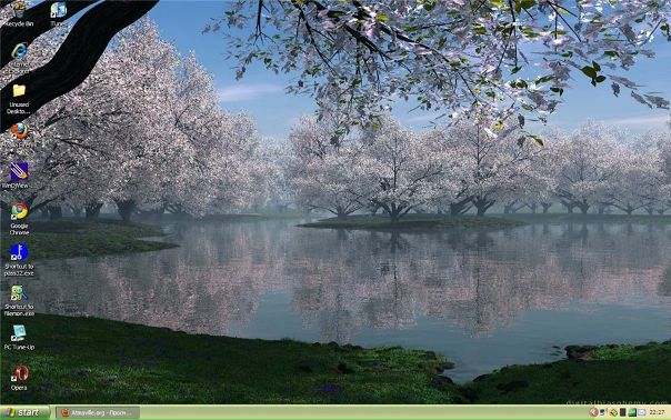 №55, Suratidd Sofia №55, Suratidd Sofia