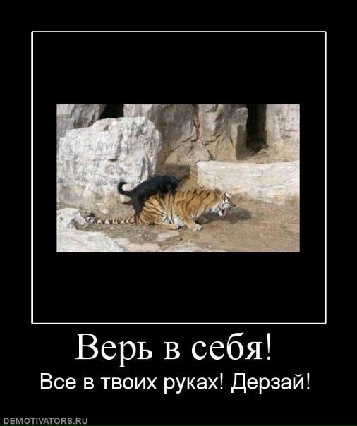 №14, Влад Яцюк, Ровно №14, Влад Яцюк, Ровно