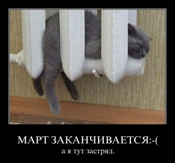 №70, Татьяна Нестерова, 39 лет, Москва №70, Татьяна Нестерова, 39 лет, Москва