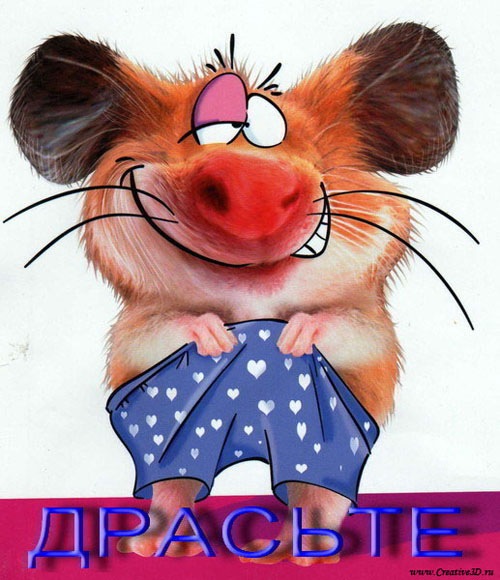 №10, Ирина Лебедь №10, Ирина Лебедь