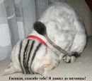 Фотография Саша Рыбакин