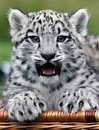 Фотография Бережко Марины