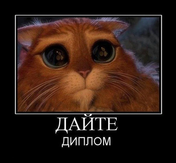 Yaroslav Yasinovskiy | Кривой Рог