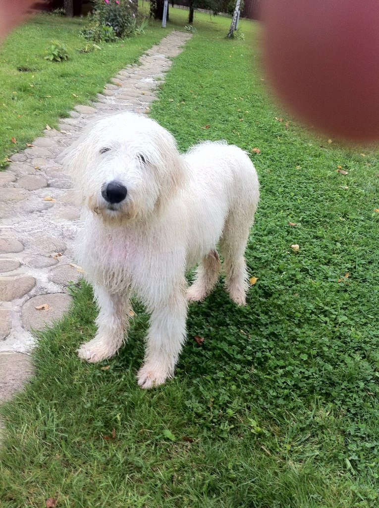 Евгения Стеркина | Москва