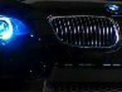 Алексей Васильев | 