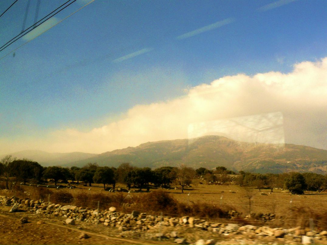 Екатерина Агаева | Ярославль