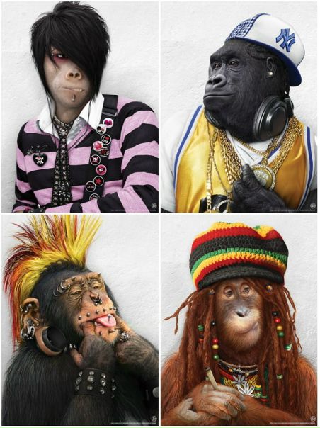 №187, Зозуля Навсякійслучай №187, Зозуля Навсякійслучай