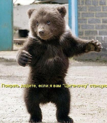 №12, Радик Сабирзянов, 50 лет, Богатые Сабы №12, Радик Сабирзянов, 50 лет, Богатые Сабы