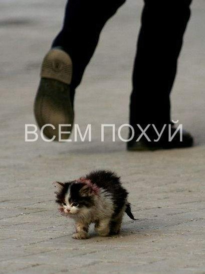 Роман Штых black master | Харьков