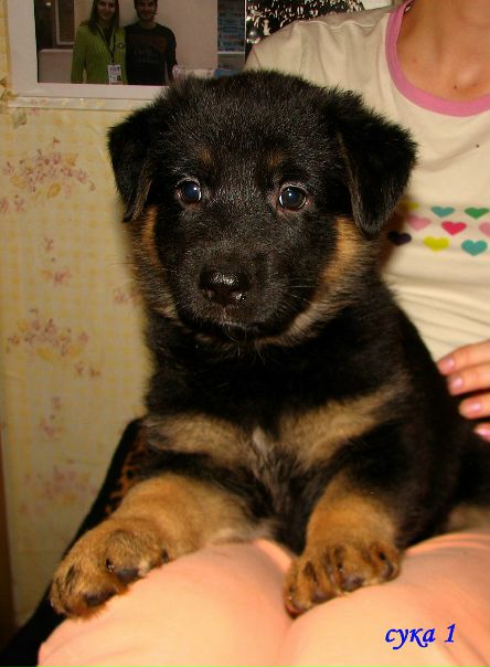 №19, Дария Настевич, Киев №19, Дария Настевич, Киев