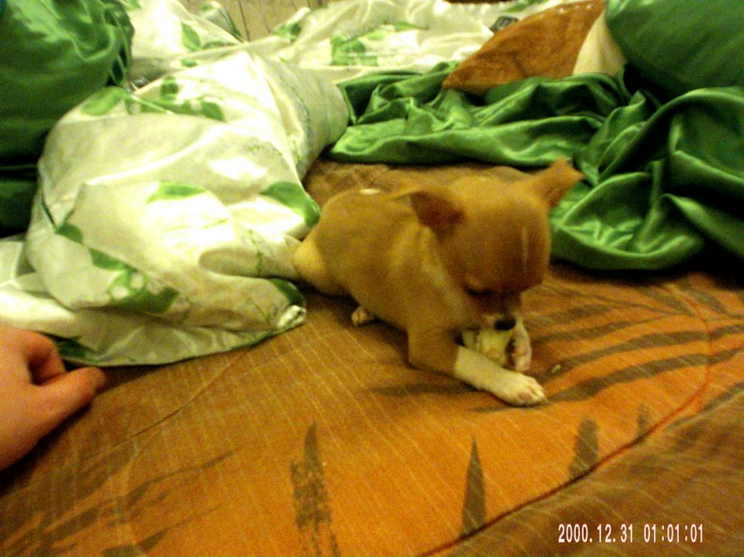 Алексей Манглер © | Москва