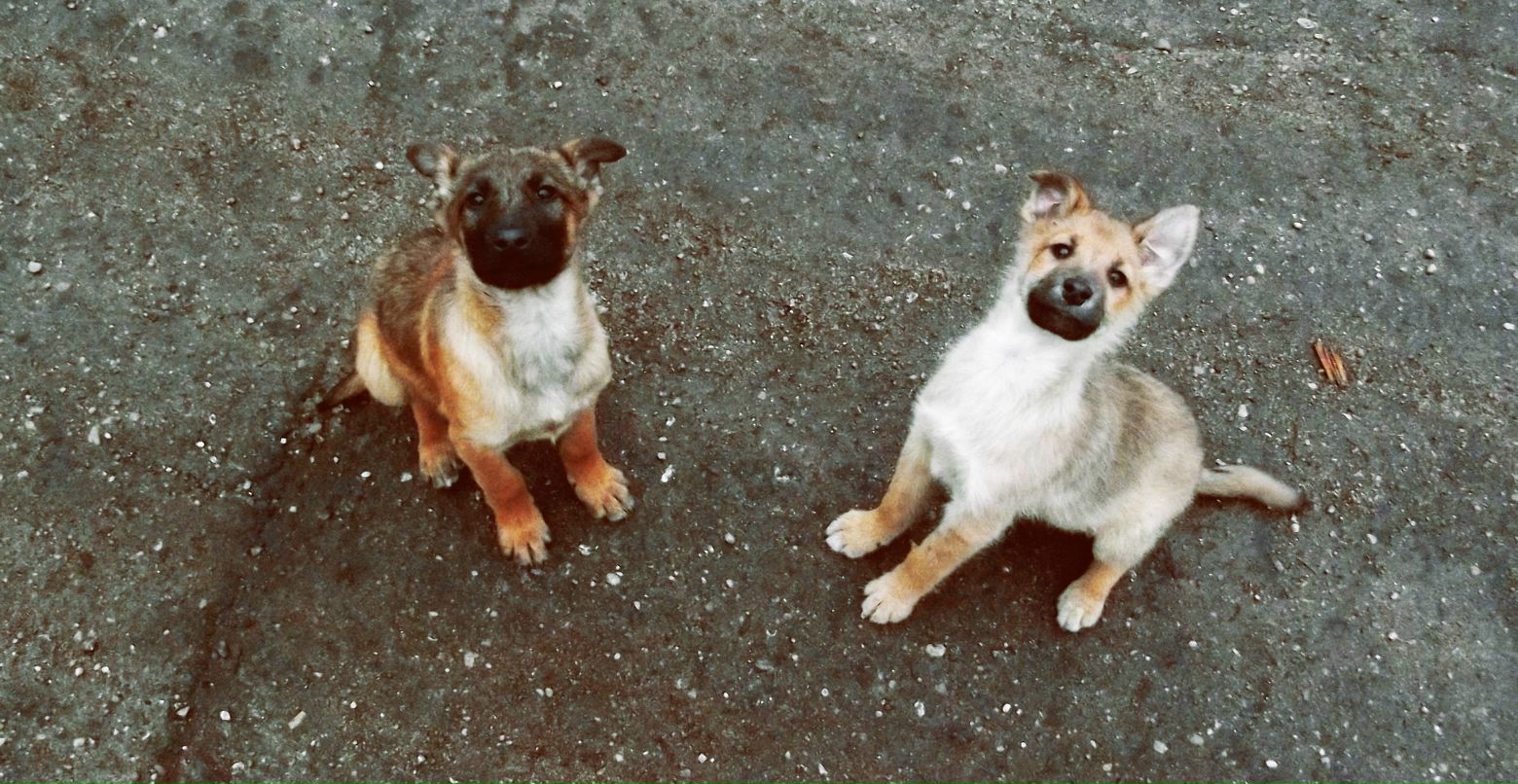 Даниил Глинский | Москва