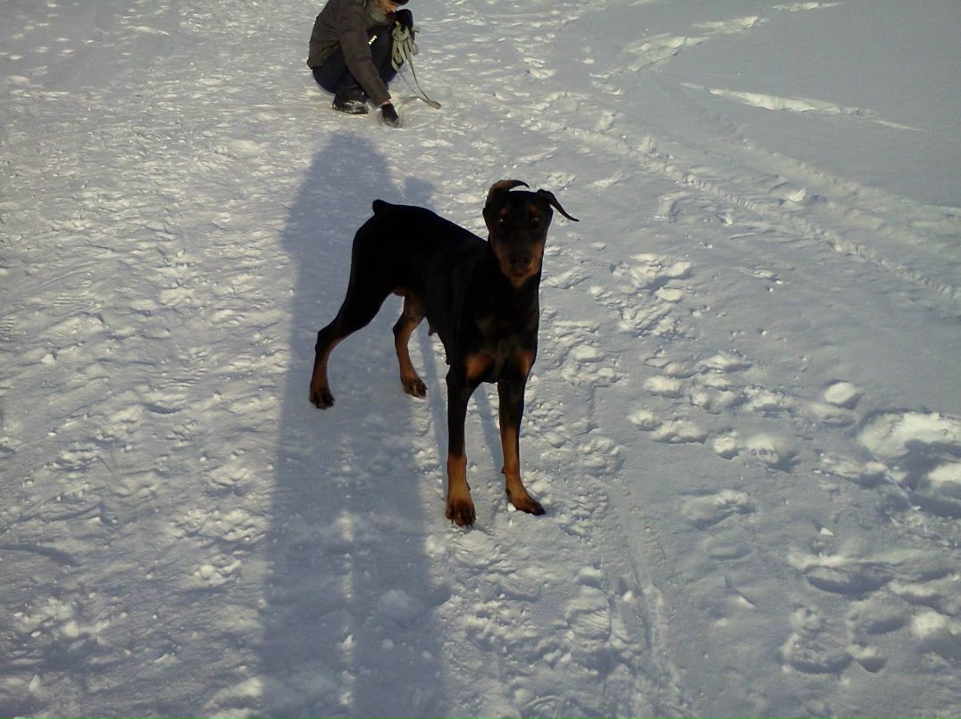 Татьяна Плетнёва-Константинова | Усть-Уда