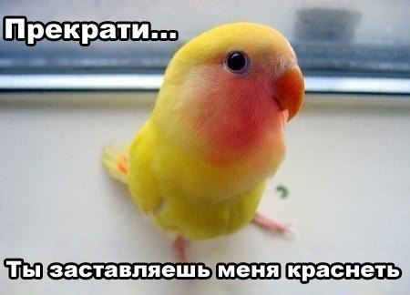 Мария Долина | 