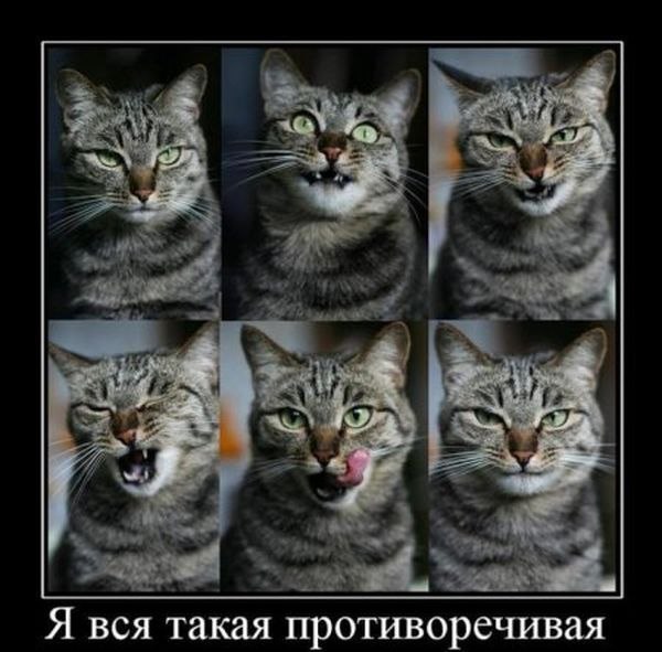 Алёна Казакова | 