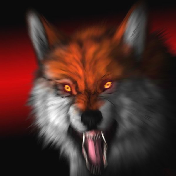 Romka Zephyr | Москва